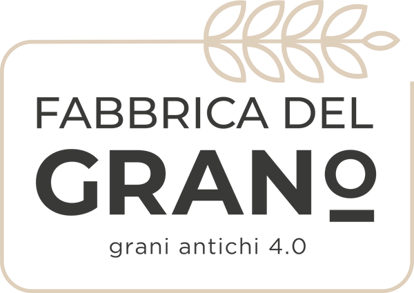 Fabbrica Del Grano P. Iva: 07765660969